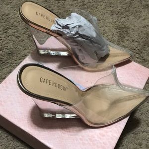 Cape Robbin Clear Pointed Toe Mules